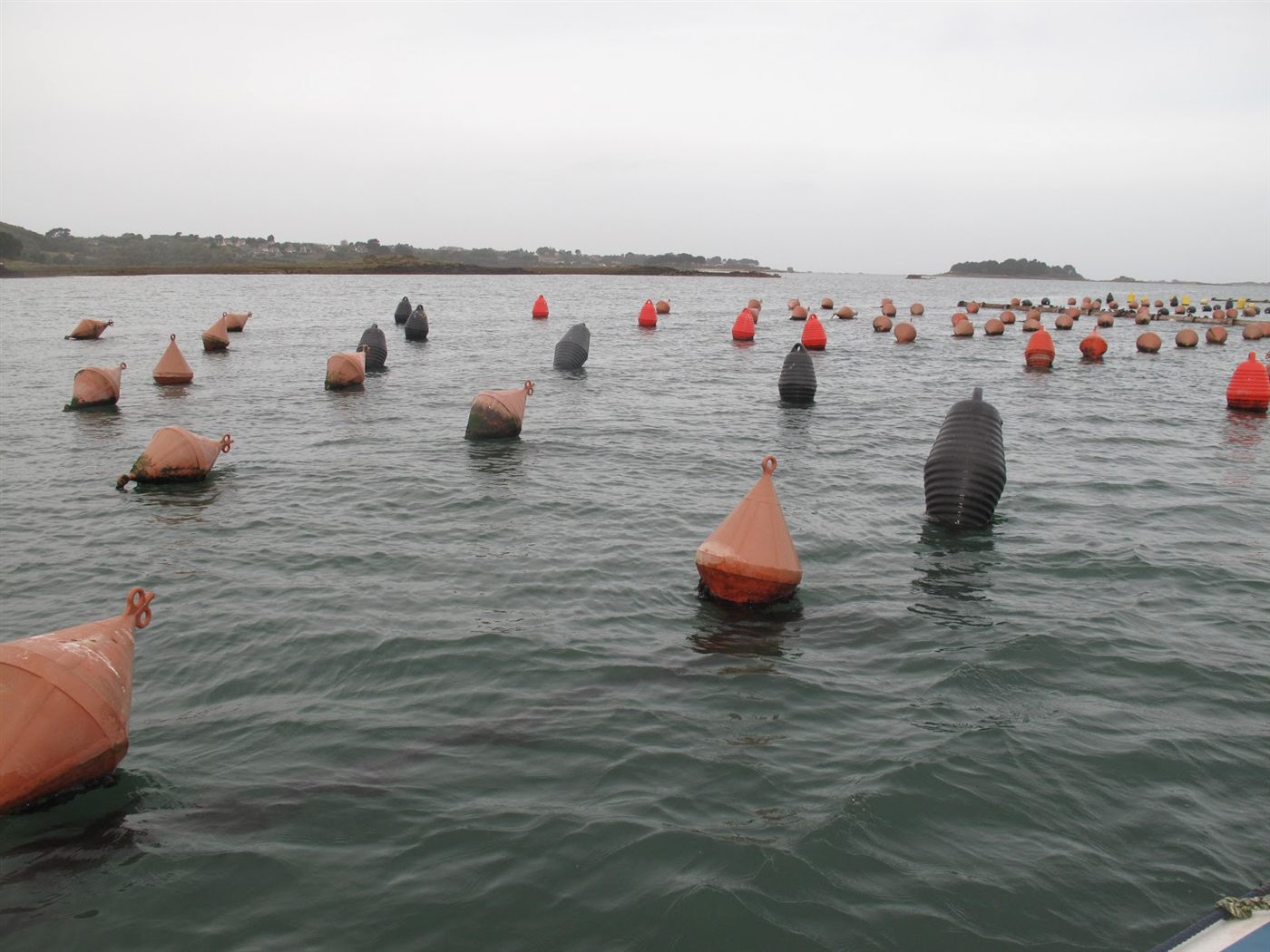 Aquaculture, pisciculture et environnement