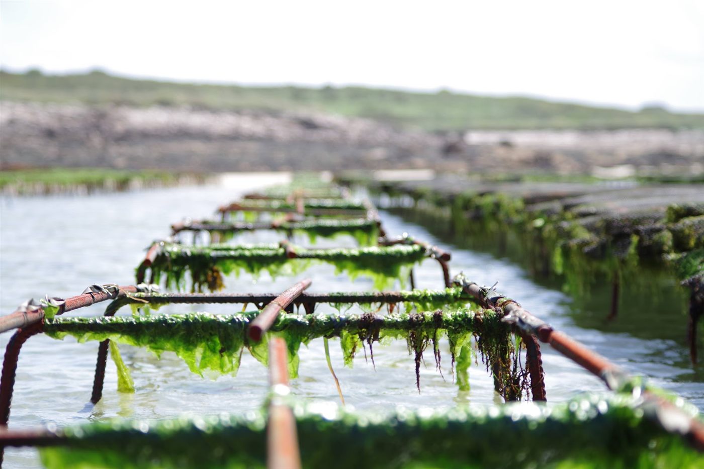Conférence économie bleue et aquaculture