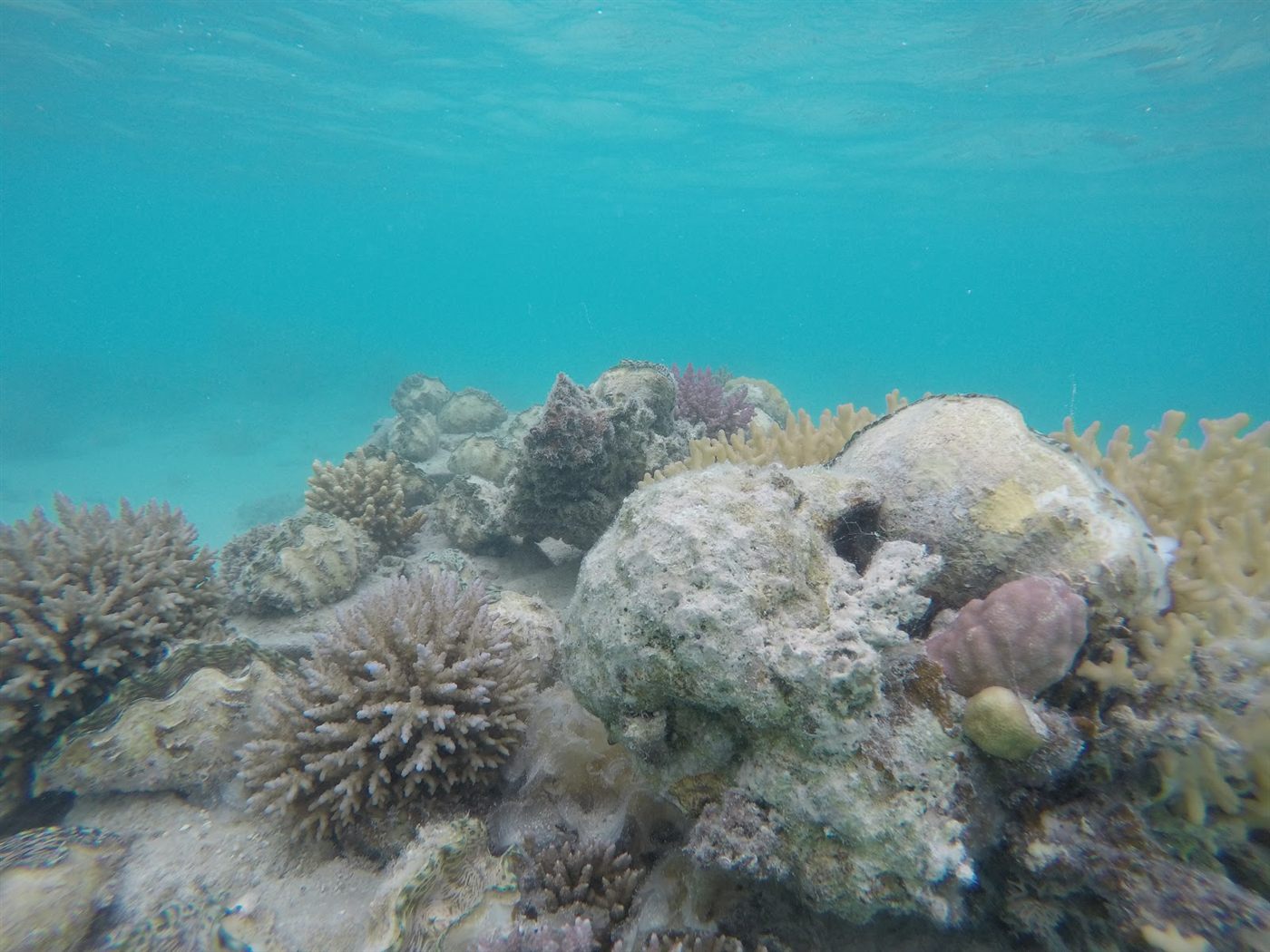 Poisson et cheptel piscicole valorisés par FishValue Expert