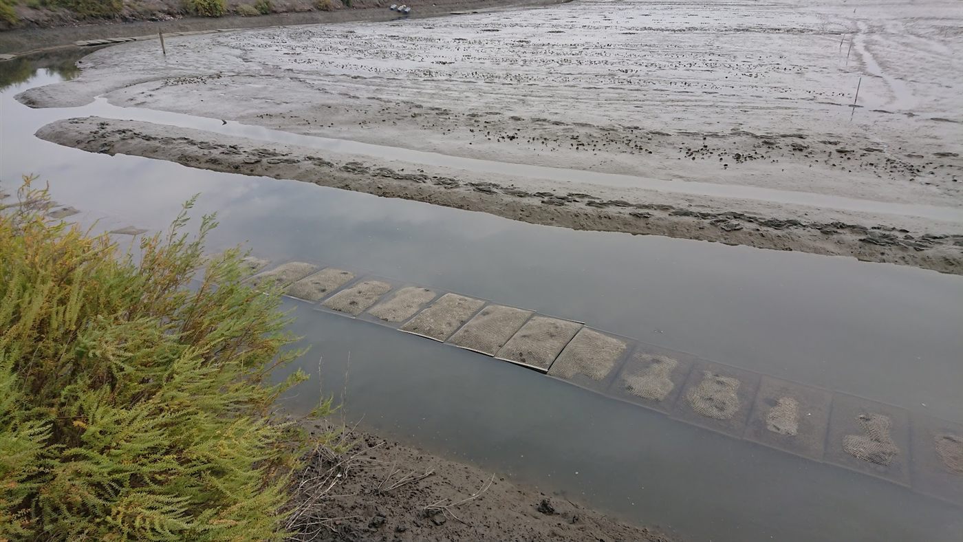 Aquaculture et environnement