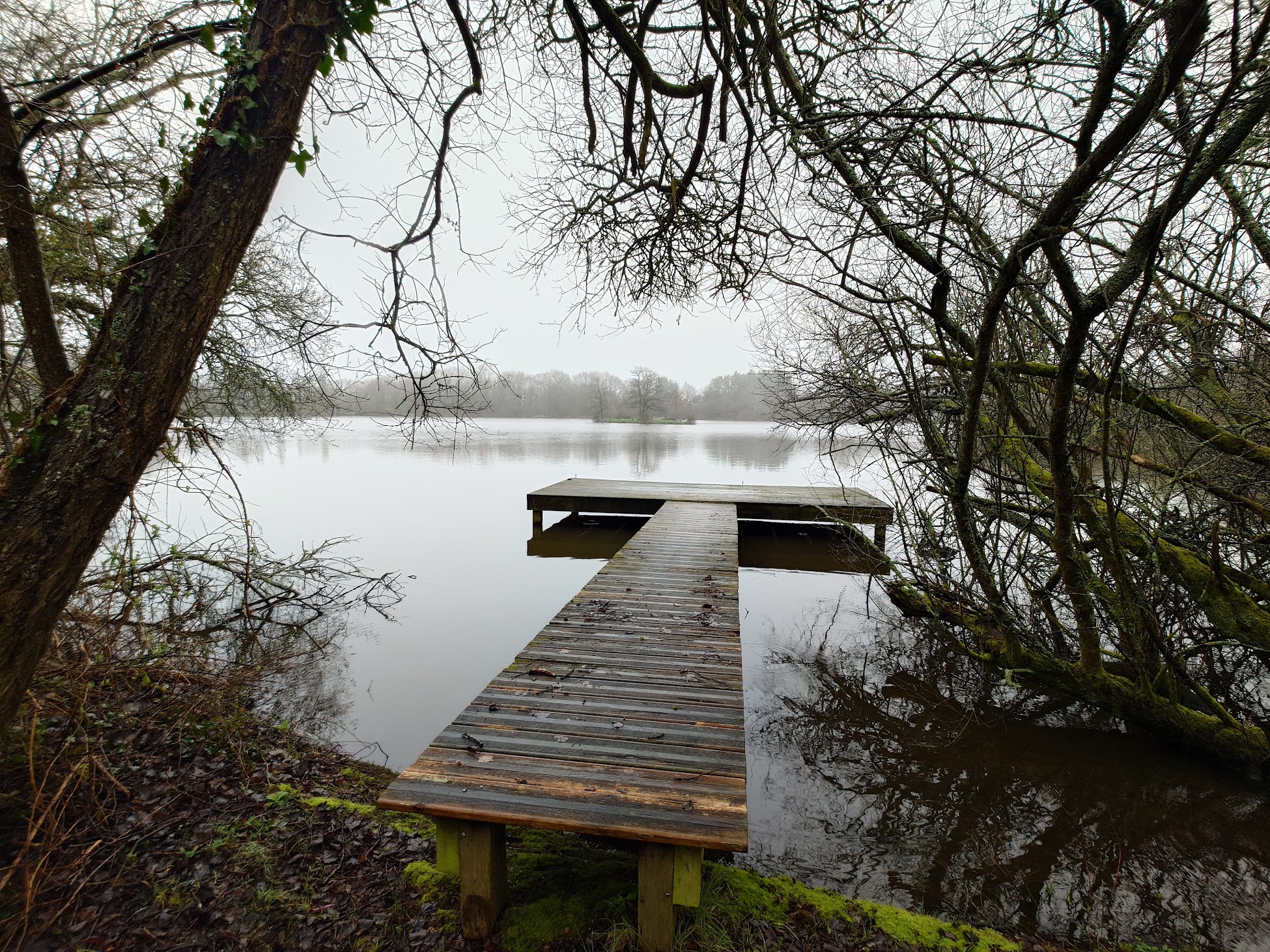 Ponton sur plan d eau