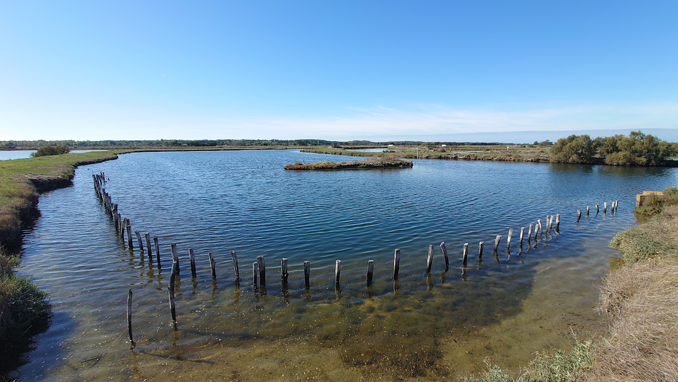Paysage littoral du pays des Olonnes