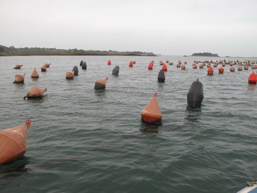 Filières aquacoles en mer