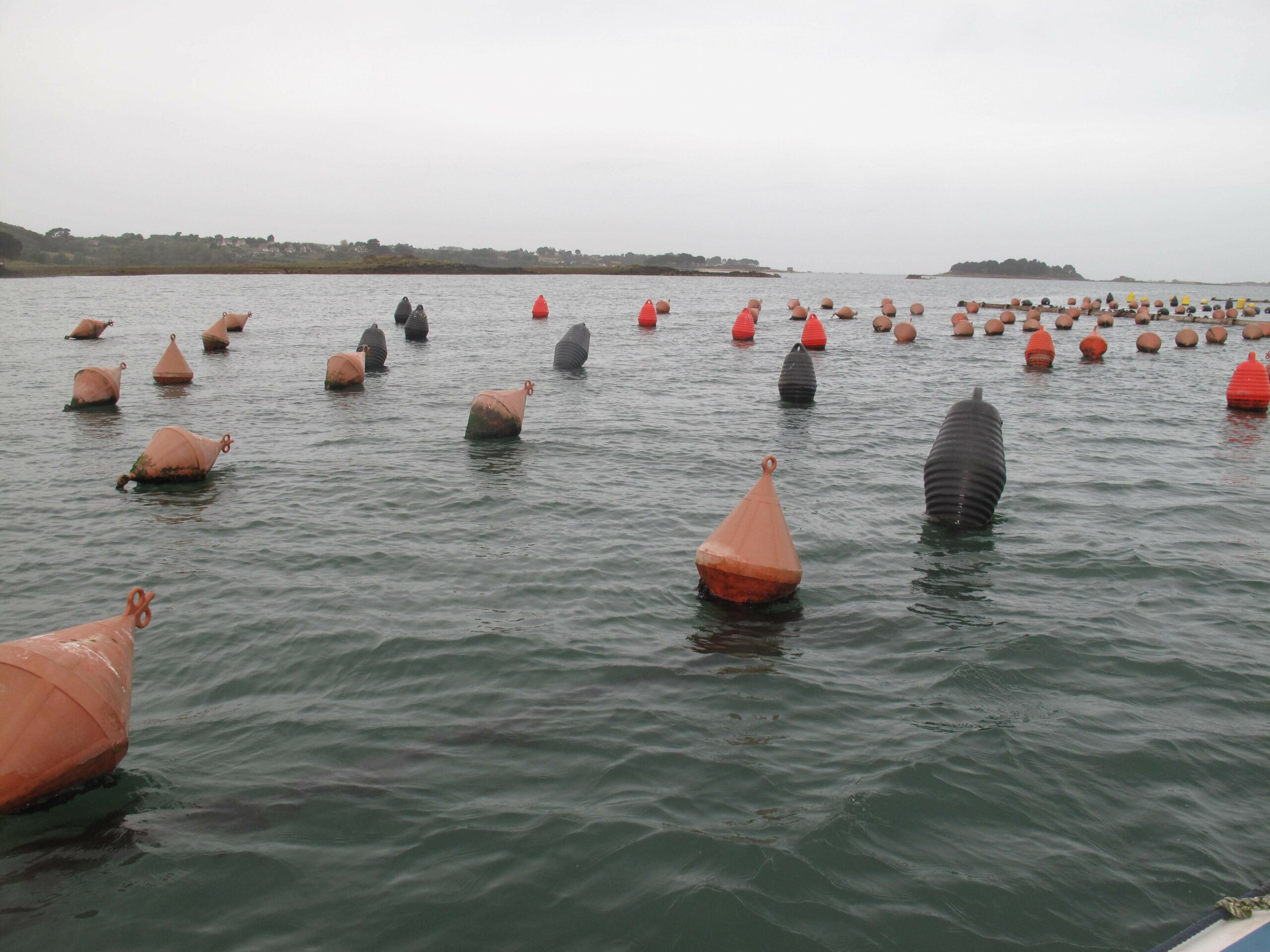 Alignements de bouées et de filières aquacoles sur un plan d’eau marin